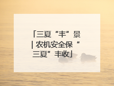 三夏“丰”景｜农机安全保“三夏”丰收