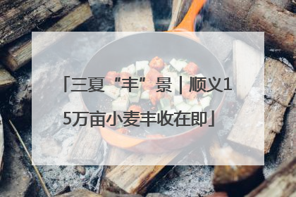三夏“丰”景｜顺义15万亩小麦丰收在即