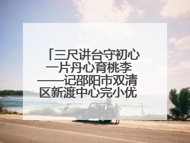 三尺讲台守初心 一片丹心育桃李——记邵阳市双清区新渡中心完小优秀教师姚丹