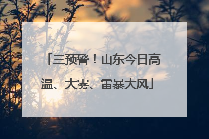三预警！山东今日高温、大雾、雷暴大风