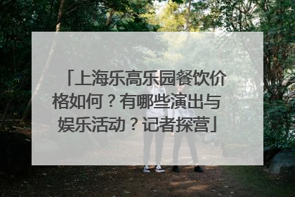 上海乐高乐园餐饮价格如何？有哪些演出与娱乐活动？记者探营