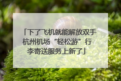 下了飞机就能解放双手 杭州机场“轻松游”行李寄送服务上新了