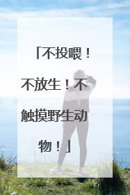 不投喂！不放生！不触摸野生动物！