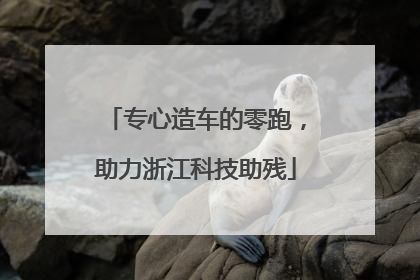 专心造车的零跑，助力浙江科技助残