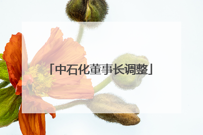 中石化董事长调整