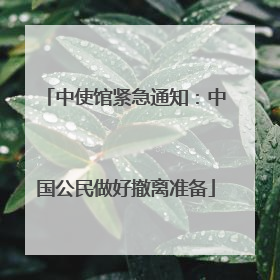 中使馆紧急通知：中国公民做好撤离准备