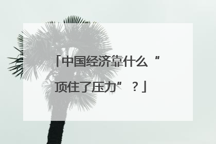 中国经济靠什么“顶住了压力”？