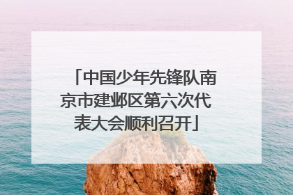 中国少年先锋队南京市建邺区第六次代表大会顺利召开