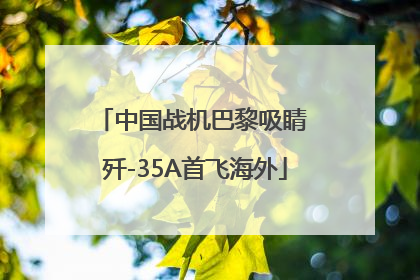 中国战机巴黎吸睛 歼-35A首飞海外
