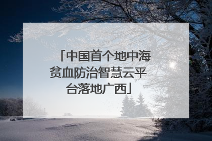 中国首个地中海贫血防治智慧云平台落地广西