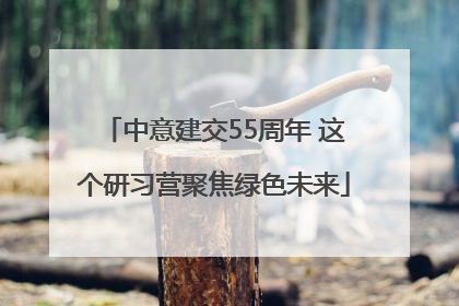 中意建交55周年 这个研习营聚焦绿色未来