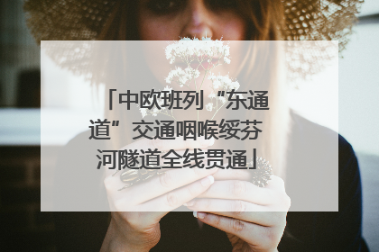 中欧班列“东通道”交通咽喉绥芬河隧道全线贯通