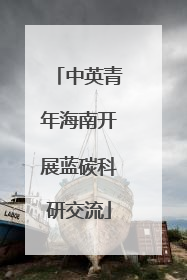 中英青年海南开展蓝碳科研交流