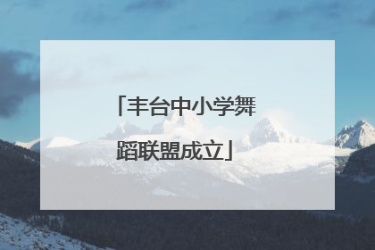 丰台中小学舞蹈联盟成立
