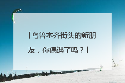 乌鲁木齐街头的新朋友，你偶遇了吗？