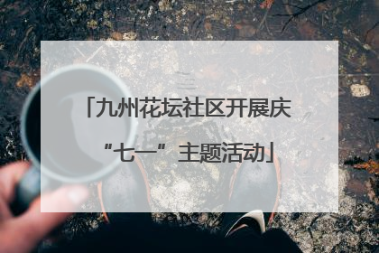 九州花坛社区开展庆“七一”主题活动