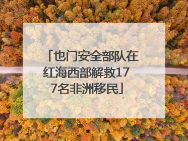 也门安全部队在红海西部解救177名非洲移民