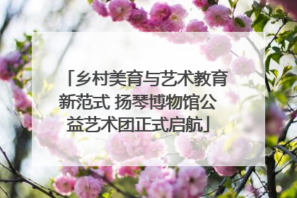 乡村美育与艺术教育新范式 扬琴博物馆公益艺术团正式启航