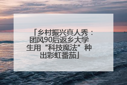 乡村振兴真人秀：团风90后返乡大学生用“科技魔法”种出彩虹番茄