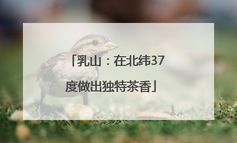 乳山：在北纬37度做出独特茶香