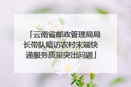 云南省邮政管理局局长带队暗访农村末端快递服务质量突出问题
