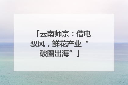 云南师宗：借电驭风，鲜花产业“破圈出海”