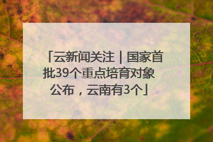 云新闻关注｜国家首批39个重点培育对象公布，云南有3个