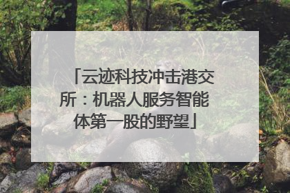云迹科技冲击港交所：机器人服务智能体第一股的野望