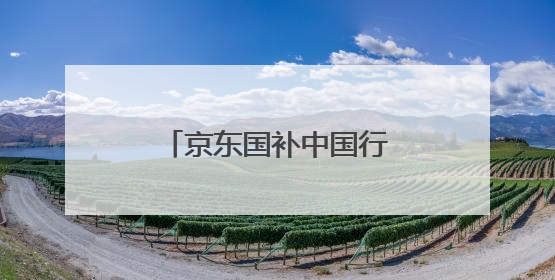 京东国补中国行赛龙舟游佛山，以特色文化赛事激活区域消费新动能
