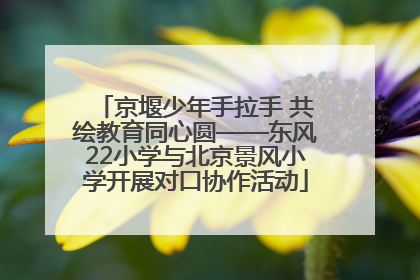 京堰少年手拉手 共绘教育同心圆——东风22小学与北京景风小学开展对口协作活动