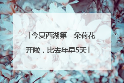 今夏西湖第一朵荷花开啦，比去年早5天