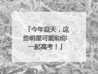 今年夏天，这些明星可能和你一起高考！