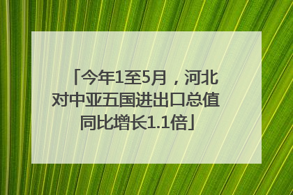 今年1至5月，河北对中亚五国进出口总值同比增长1.1倍