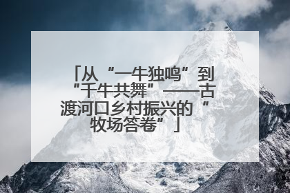 从“一牛独鸣”到“千牛共舞”——古渡河口乡村振兴的“牧场答卷”