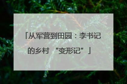 从军营到田园：李书记的乡村 “变形记”