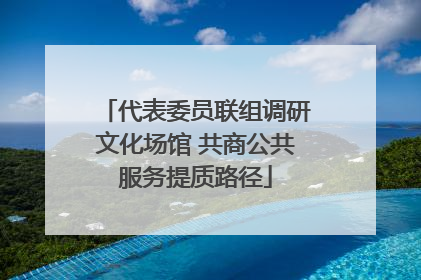 代表委员联组调研文化场馆 共商公共服务提质路径