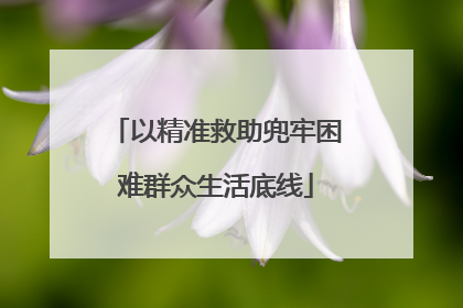 以精准救助兜牢困难群众生活底线