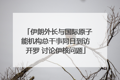 伊朗外长与国际原子能机构总干事同日到访开罗 讨论伊核问题