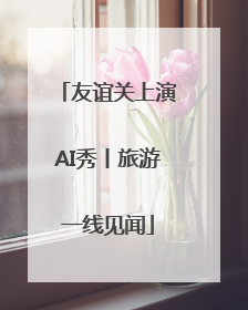 友谊关上演AI秀丨旅游一线见闻