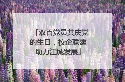 双百党员共庆党的生日，校企联建助力江城发展