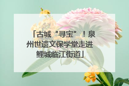 古城“寻宝”！泉州世遗文保学堂走进鲤城临江街道