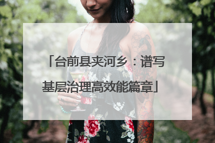 台前县夹河乡：谱写基层治理高效能篇章