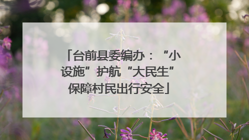 台前县委编办：“小设施”护航“大民生” 保障村民出行安全