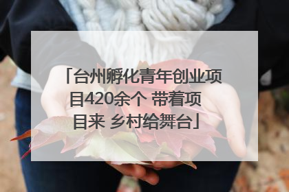 台州孵化青年创业项目420余个 带着项目来 乡村给舞台