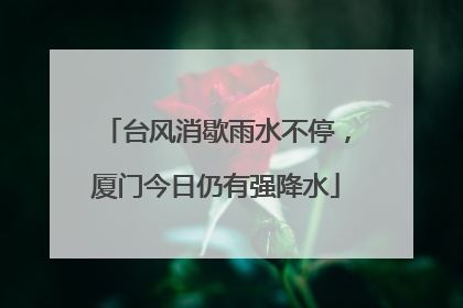 台风消歇雨水不停，厦门今日仍有强降水