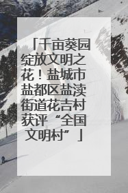 千亩葵园绽放文明之花！盐城市盐都区盐渎街道花吉村获评“全国文明村”