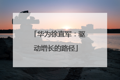 华为徐直军：驱动增长的路径