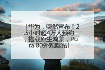 华为，突然宣布！2.5小时超4万人预约，搭载原生鸿蒙，Pura 80外观曝光