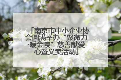 南京市中小企业协会圆满举办“聚微力·暖金陵”慈善献爱心暨义卖活动