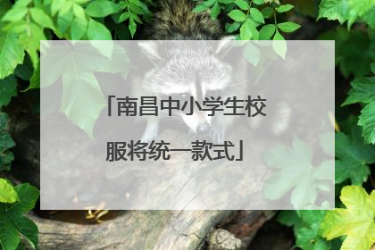 南昌中小学生校服将统一款式